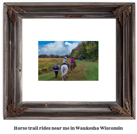 horse trail rides near me in Waukesha, Wisconsin